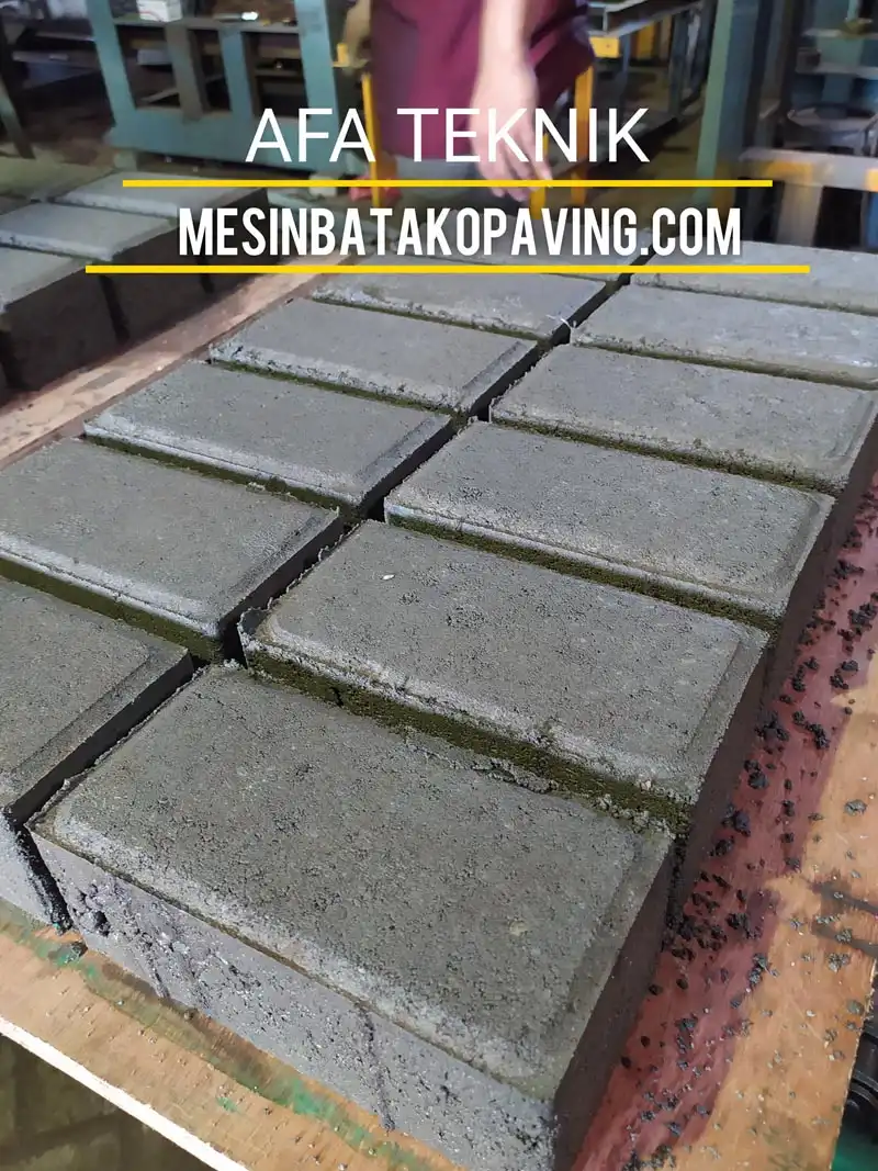 hasil-cetak-paving-block-keluar-12-mesin-paving-2-warna.webp